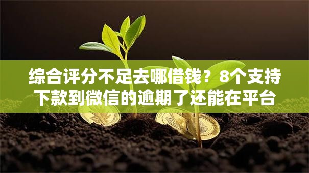 综合评分不足去哪借钱？8个支持下款到微信的逾期了还能在平台贷款