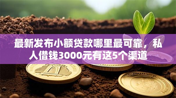 最新发布小额贷款哪里最可靠，私人借钱3000元有这5个渠道