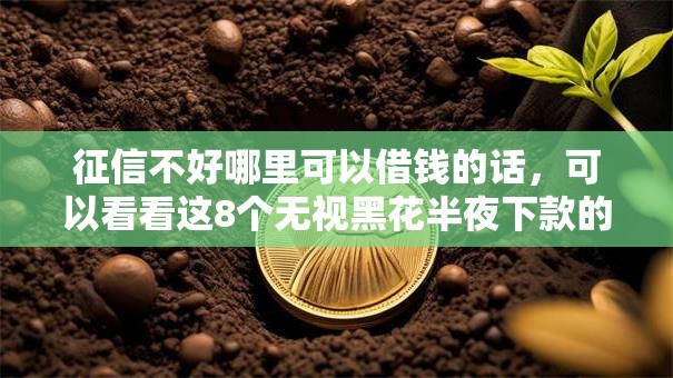 征信不好哪里可以借钱的话，可以看看这8个无视黑花半夜下款的网贷软件