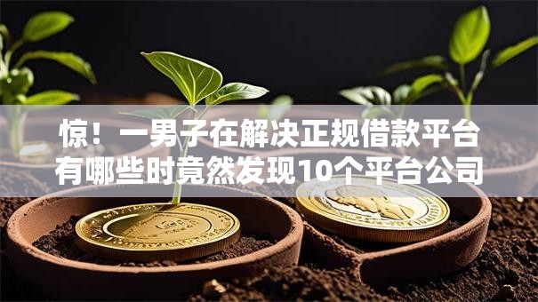 惊！一男子在解决正规借款平台有哪些时竟然发现10个平台公司贷款，事后分享了出来