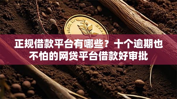 正规借款平台有哪些？十个逾期也不怕的网贷平台借款好审批