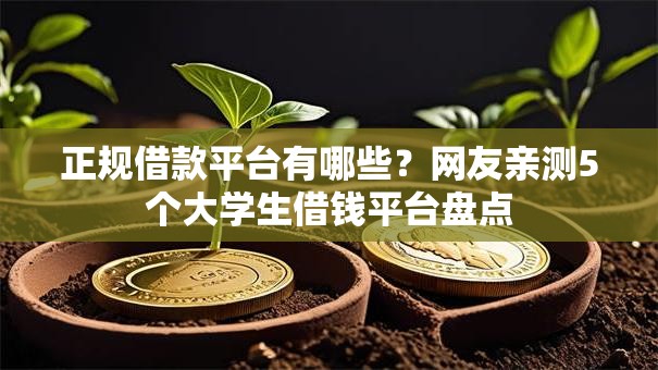 正规借款平台有哪些？网友亲测5个大学生借钱平台盘点