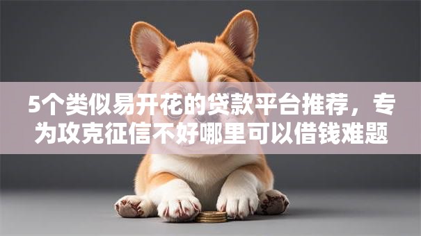 5个类似易开花的贷款平台推荐，专为攻克征信不好哪里可以借钱难题