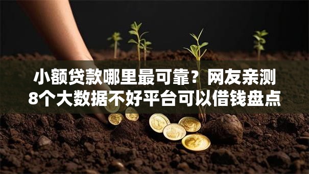 小额贷款哪里最可靠?网友亲测8个大数据不好平台可以借钱盘点 小额贷款哪里最可靠?网友亲测8个大数据不好平台可以借钱盘点
