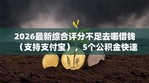 2026最新综合评分不足去哪借钱（支持支付宝），5个公积金快速贷款app无私分享