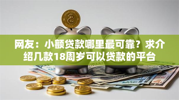 网友：小额贷款哪里最可靠？求介绍几款18周岁可以贷款的平台