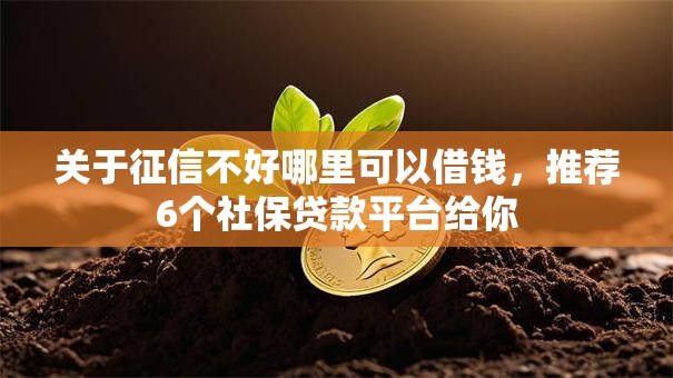 关于征信不好哪里可以借钱，推荐6个社保贷款平台给你