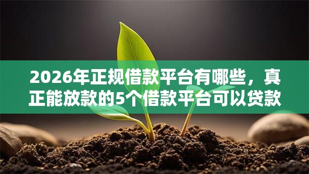 2026年正规借款平台有哪些，真正能放款的5个借款平台可以贷款推荐