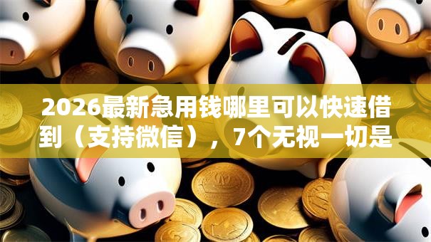 2026最新急用钱哪里可以快速借到（支持微信），7个无视一切是人就下款无私分享