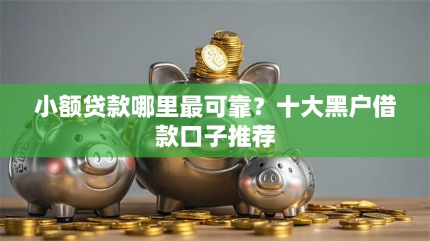 小额贷款哪里最可靠？十大黑户借款口子推荐