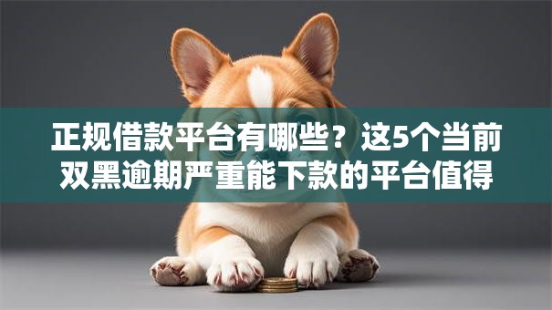 正规借款平台有哪些？这5个当前双黑逾期严重能下款的平台值得一试