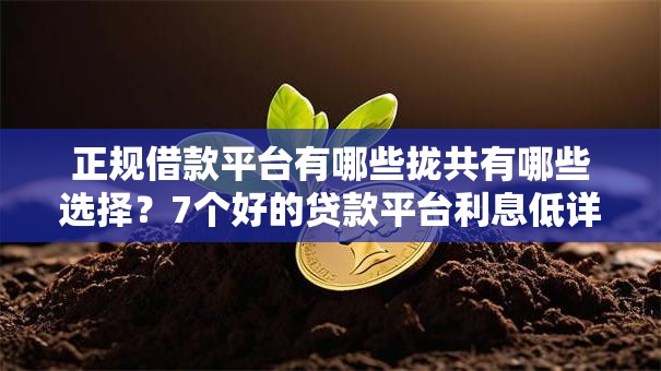 正规借款平台有哪些拢共有哪些选择？7个好的贷款平台利息低详解