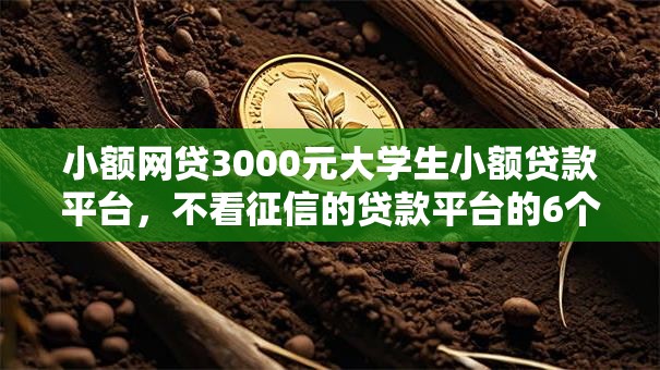 小额网贷3000元大学生小额贷款平台，不看征信的贷款平台的6个平台介绍