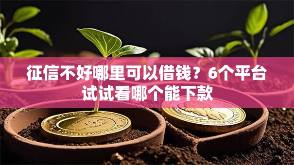 征信不好哪里可以借钱？6个平台试试看哪个能下款