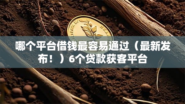 哪个平台借钱最容易通过（最新发布！）6个贷款获客平台