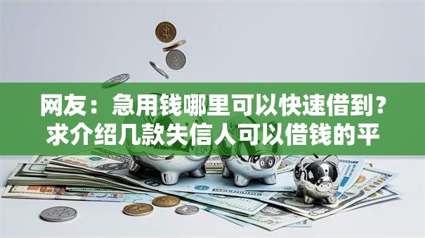 网友：急用钱哪里可以快速借到？求介绍几款失信人可以借钱的平台