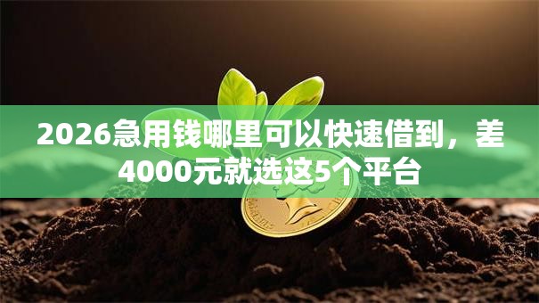 2026急用钱哪里可以快速借到，差4000元就选这5个平台