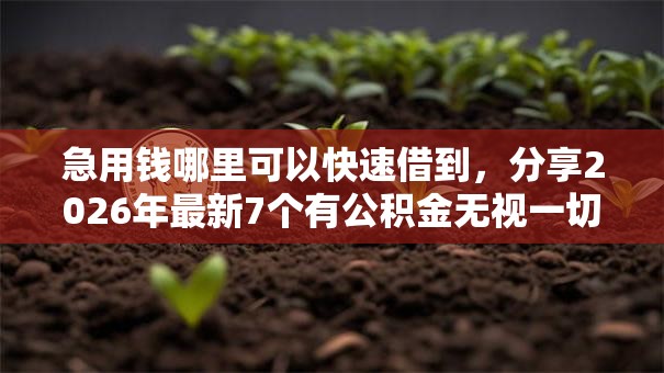 急用钱哪里可以快速借到，分享2026年最新7个有公积金无视一切的口子