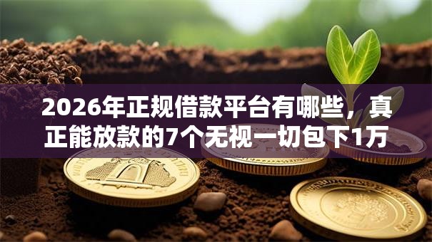 2026年正规借款平台有哪些，真正能放款的7个无视一切包下1万的贷款推荐