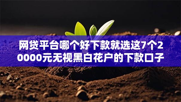 网贷平台哪个好下款就选这7个20000元无视黑白花户的下款口子