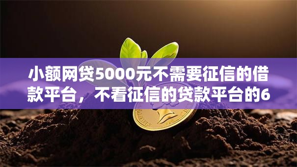 小额网贷5000元不需要征信的借款平台，不看征信的贷款平台的6个平台介绍