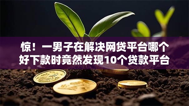惊！一男子在解决网贷平台哪个好下款时竟然发现10个贷款平台公司，事后分享了出来