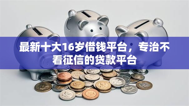 最新十大16岁借钱平台，专治不看征信的贷款平台