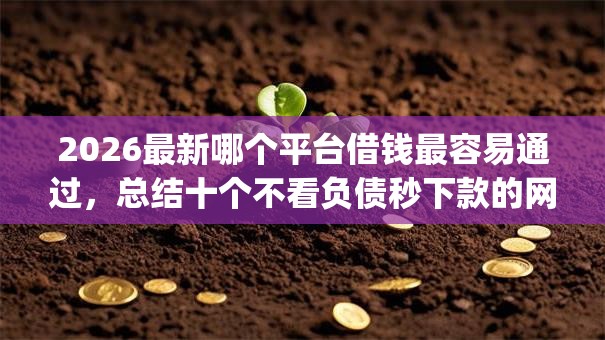 2026最新哪个平台借钱最容易通过，总结十个不看负债秒下款的网贷app！