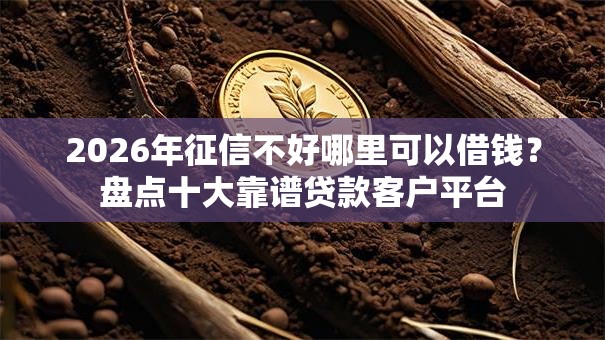 2026年征信不好哪里可以借钱?盘点十大靠谱贷款客户平台 2026年征信不好哪里可以借钱?盘点十大靠谱贷款客户平台