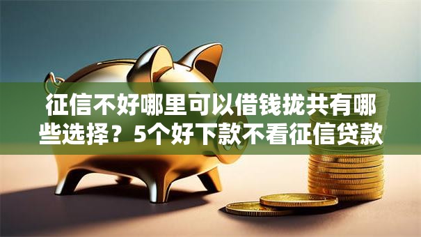 征信不好哪里可以借钱拢共有哪些选择？5个好下款不看征信贷款平台详解