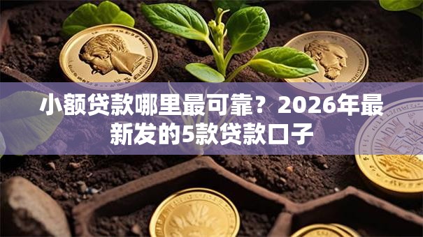 小额贷款哪里最可靠？2026年最新发的5款贷款口子