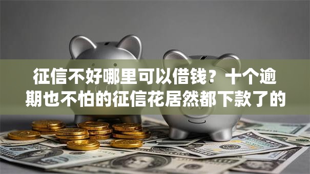 征信不好哪里可以借钱？十个逾期也不怕的征信花居然都下款了的app