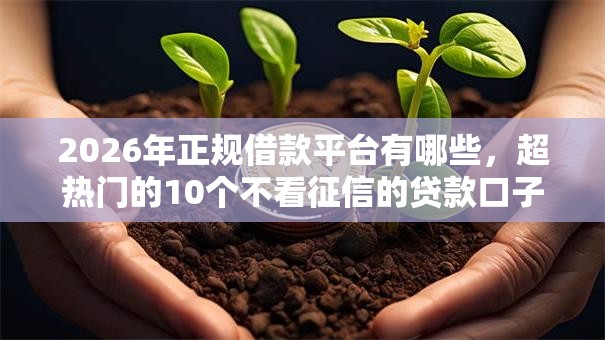2026年正规借款平台有哪些,超热门的10个不看征信的贷款口子推荐 2026年正规借款平台有哪些,超热门的10个不看征信的贷款口子推荐