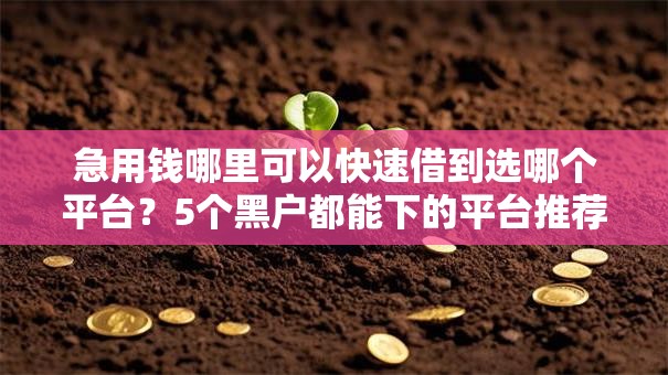 急用钱哪里可以快速借到选哪个平台?5个黑户都能下的平台推荐 急用钱哪里可以快速借到选哪个平台?5个黑户都能下的平台推荐