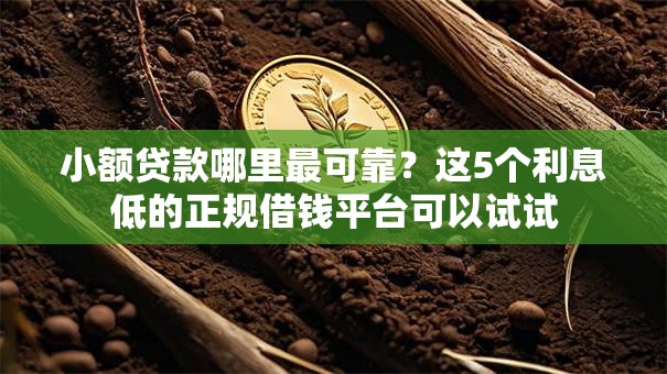 小额贷款哪里最可靠？这5个利息低的正规借钱平台可以试试