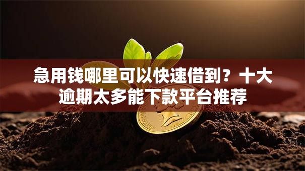 急用钱哪里可以快速借到？十大逾期太多能下款平台推荐
