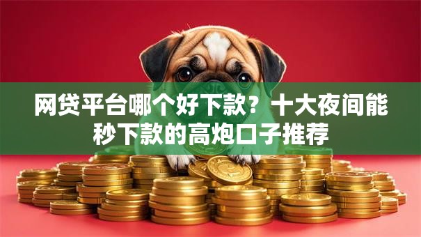 网贷平台哪个好下款？十大夜间能秒下款的高炮口子推荐
