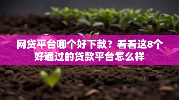 网贷平台哪个好下款?看看这8个好通过的贷款平台怎么样 网贷平台哪个好下款?看看这8个好通过的贷款平台怎么样
