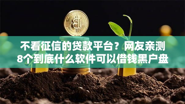 不看征信的贷款平台？网友亲测8个到底什么软件可以借钱黑户盘点