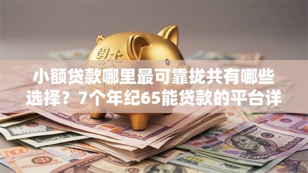 小额贷款哪里最可靠拢共有哪些选择？7个年纪65能贷款的平台详解