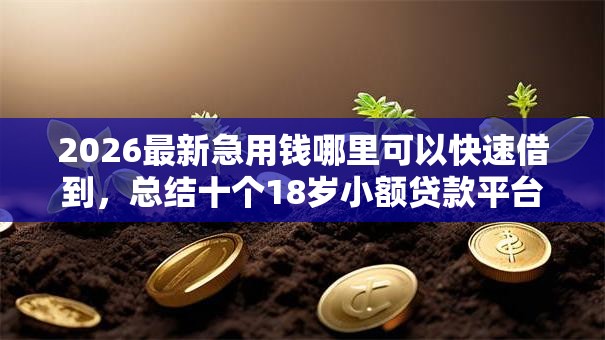 2026最新急用钱哪里可以快速借到,总结十个18岁小额贷款平台! 2026最新急用钱哪里可以快速借到,总结十个18岁小额贷款平台!