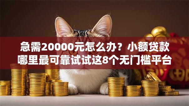 急需20000元怎么办？小额贷款哪里最可靠试试这8个无门槛平台