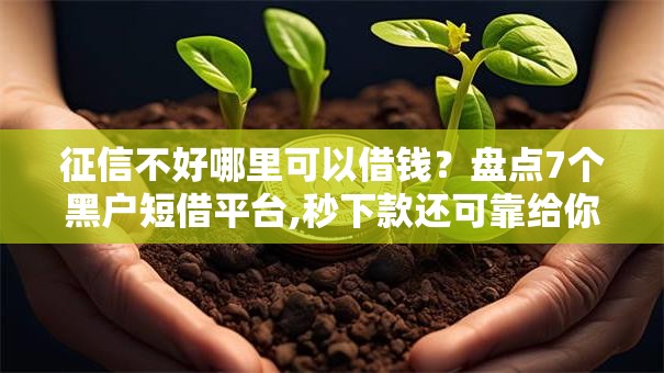 征信不好哪里可以借钱？盘点7个黑户短借平台,秒下款还可靠给你参考