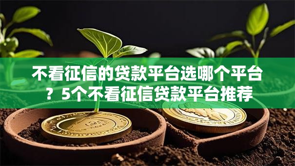 不看征信的贷款平台选哪个平台？5个不看征信贷款平台推荐