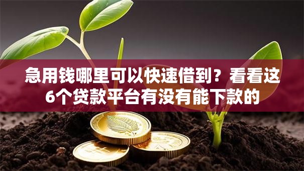 急用钱哪里可以快速借到?看看这6个贷款平台有没有能下款的 急用钱哪里可以快速借到?看看这6个贷款平台有没有能下款的