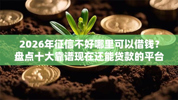 2026年征信不好哪里可以借钱？盘点十大靠谱现在还能贷款的平台