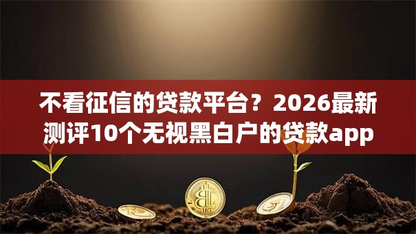 不看征信的贷款平台？2026最新测评10个无视黑白户的贷款app