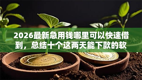 2026最新急用钱哪里可以快速借到，总结十个这两天能下款的软件！