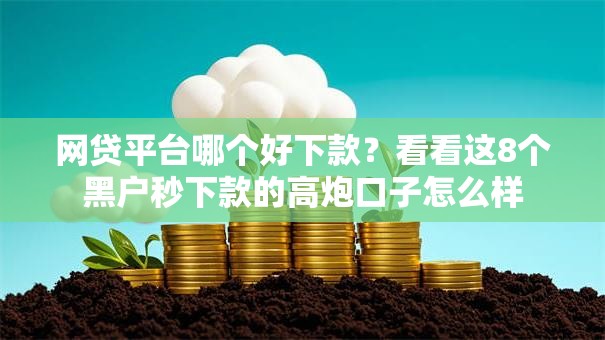 网贷平台哪个好下款？看看这8个黑户秒下款的高炮口子怎么样