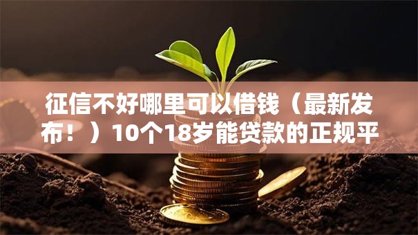 征信不好哪里可以借钱（最新发布！）10个18岁能贷款的正规平台